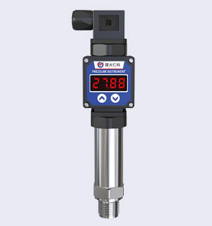RK-PM301