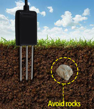 How To Use Soil Moisture Meter To Avoid Over & Under Watering