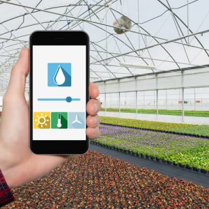 greenhouse remote monitoring system