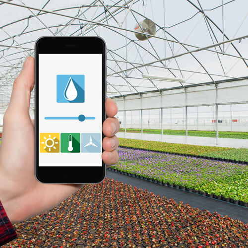 8 types of sensors for best Greenhouse Remote Monitoring Systems - Renke