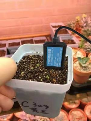 soil sensor use