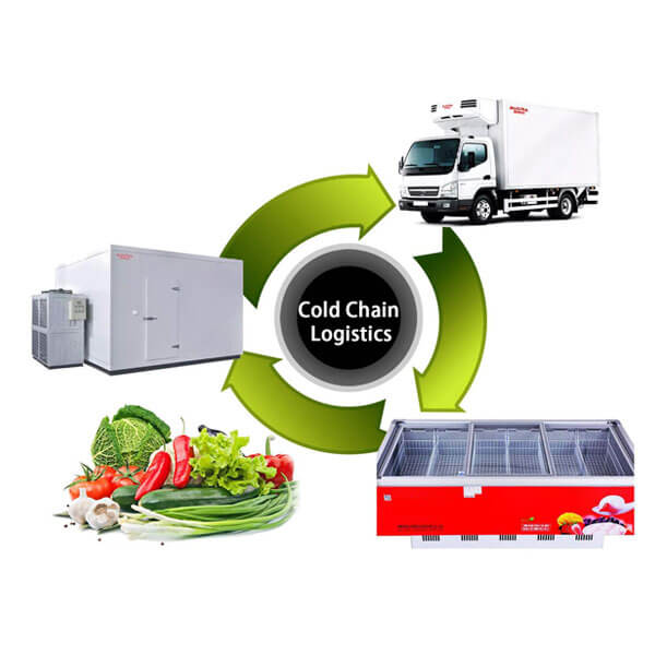 What Is Cold Chain Logistics Sensors Renke