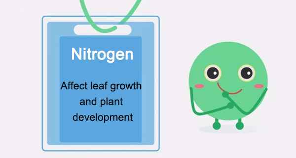 nitrogen