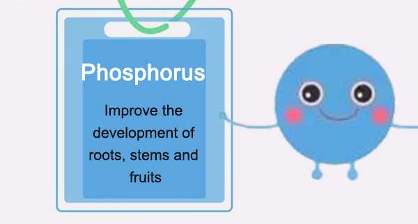 phosphorus