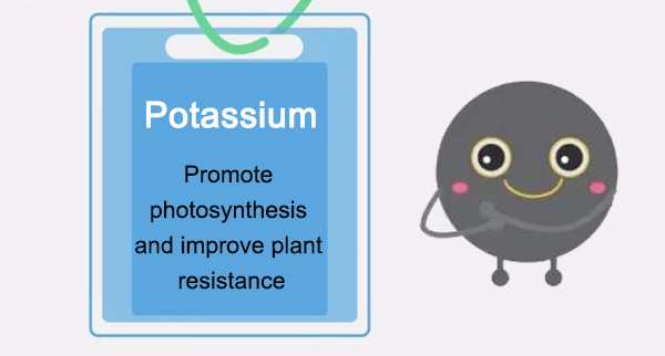 potassium