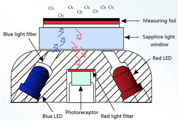 Dissolved Oxygen Sensor Principle