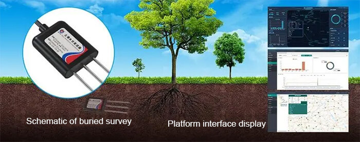 soil moisture sensor for agriculture