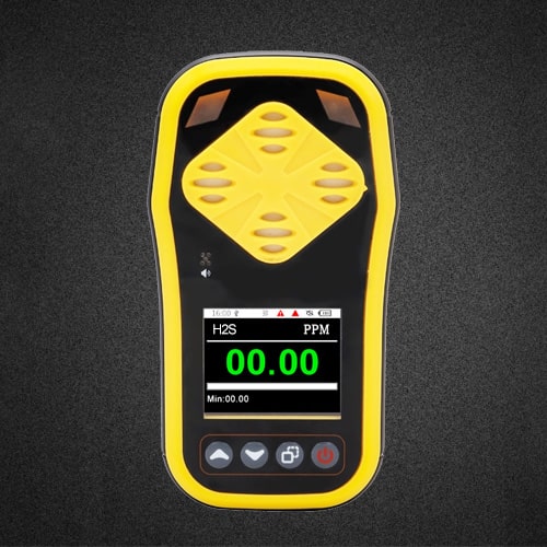 Portable H2S detector