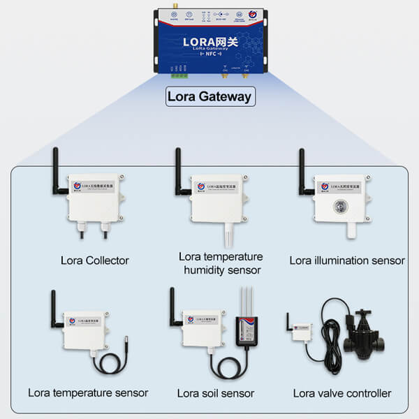 Lora sensors