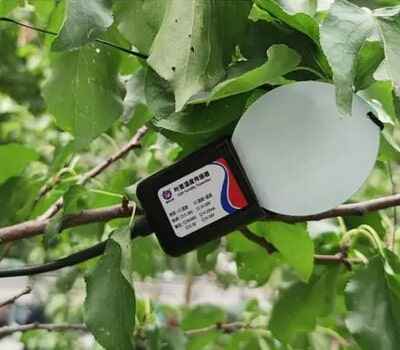 leaf wetness sensor