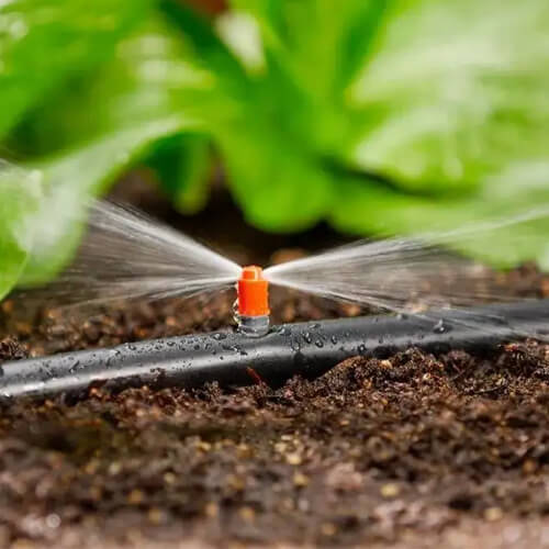 smart irrigation