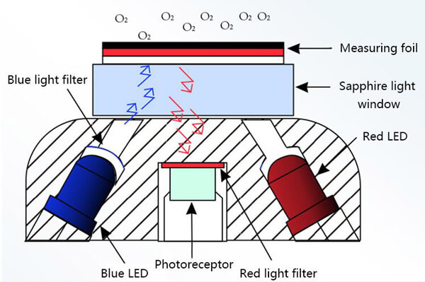 Fluorescence Dissolved Oxygen