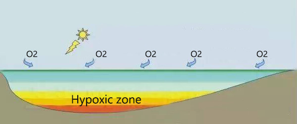 dissolved oxygen in water