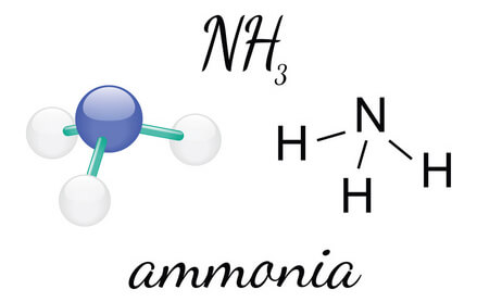 ammonia