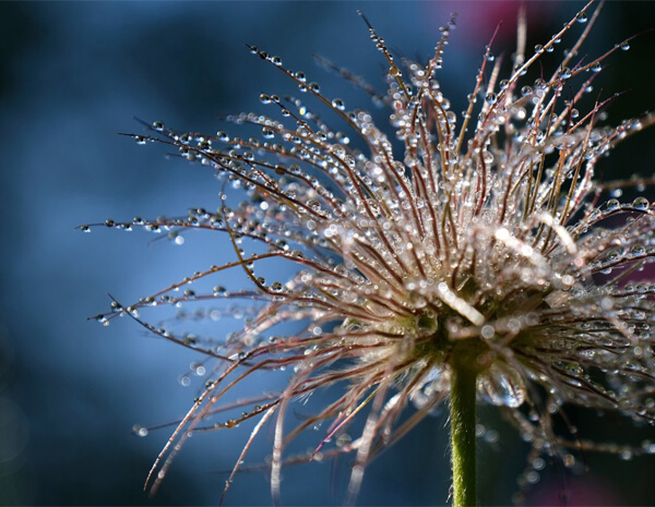 condensation