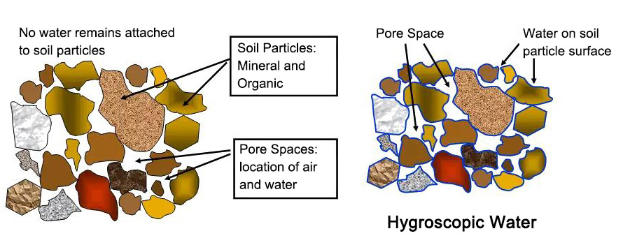 hygroscopic water