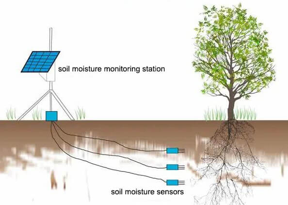 soil moisture monitoring