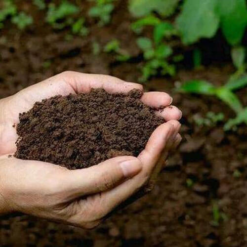 Soil moisture