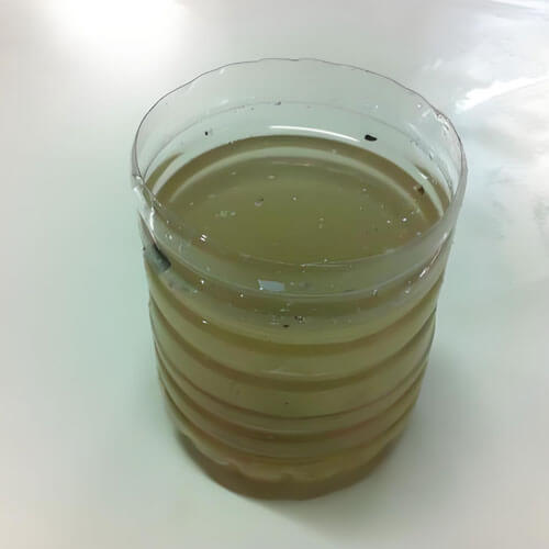 total suspended solids