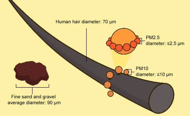 PM2.5 and PM10
